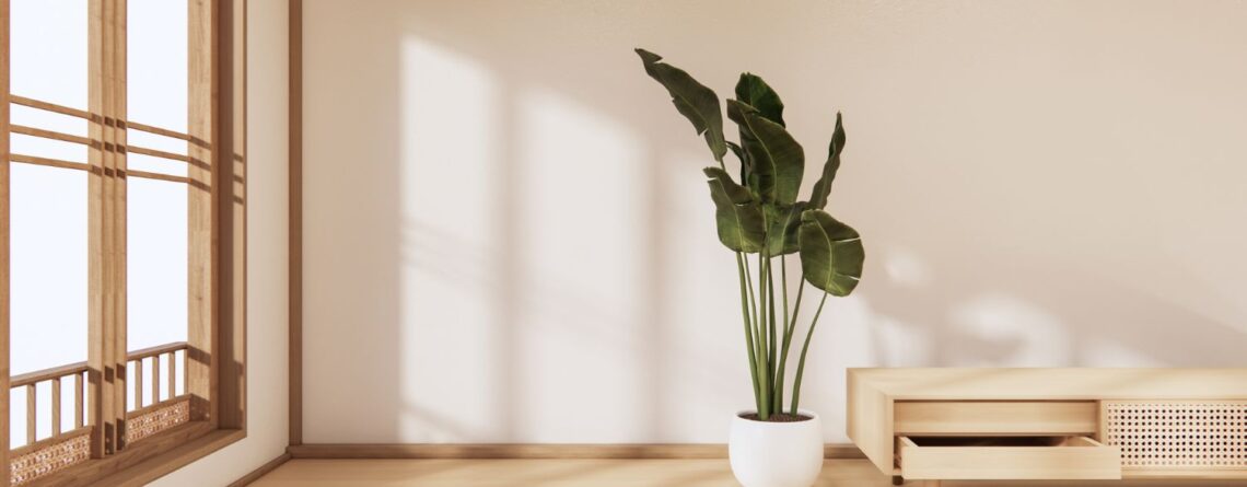 Mastering Minimalism